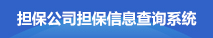 擔保公司擔保信息查詢系統